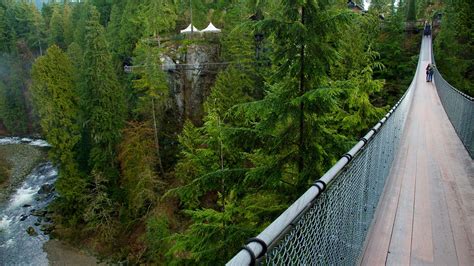 Capilano Suspension Bridge In Vancouver British Columbia Expediaca
