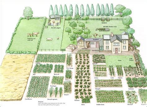 Garden Planning A La John Seymour The Self Sufficient Life And How To