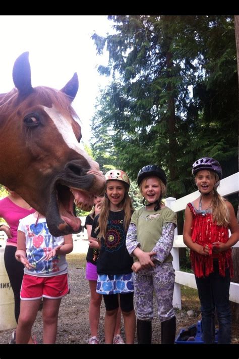 Horse Photobombs Kids Like A Pro Photo Huffpost
