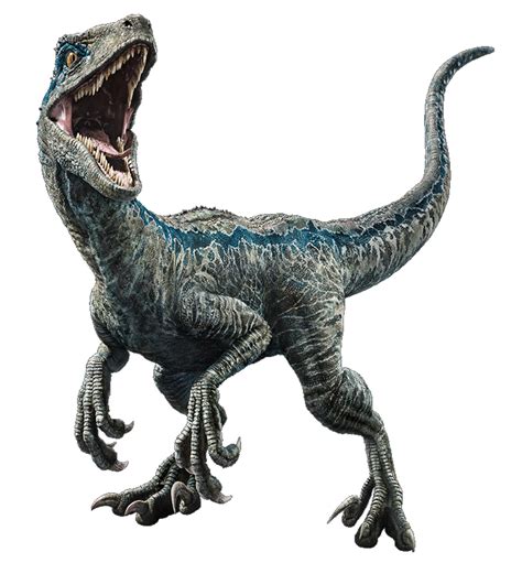 Fallen Kingdom Blue The Velociraptor V3 By Sonichedgehog2 Jurassic World Raptors Blue Jurassic