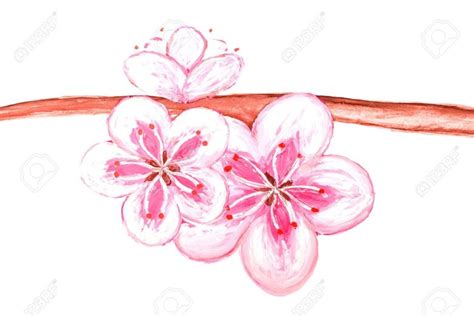 Points d'orgues indissociables des matsuri qui animent les chaudes et humides soirées estivales au japon, les hanabi (littéralement fleurs de feu, contraction de « hana », fleur, et « bi », feu) illuminent de fabuleuses. Dessin fleur de sakura - du japon et des fleurs