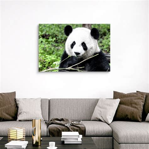 Giant Panda Canvas Wall Art Print Bear Home Decor Ebay