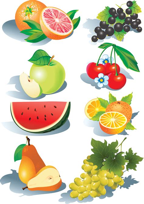Fruit Vector Free Download Clip Art Free Clip Art On Clipart