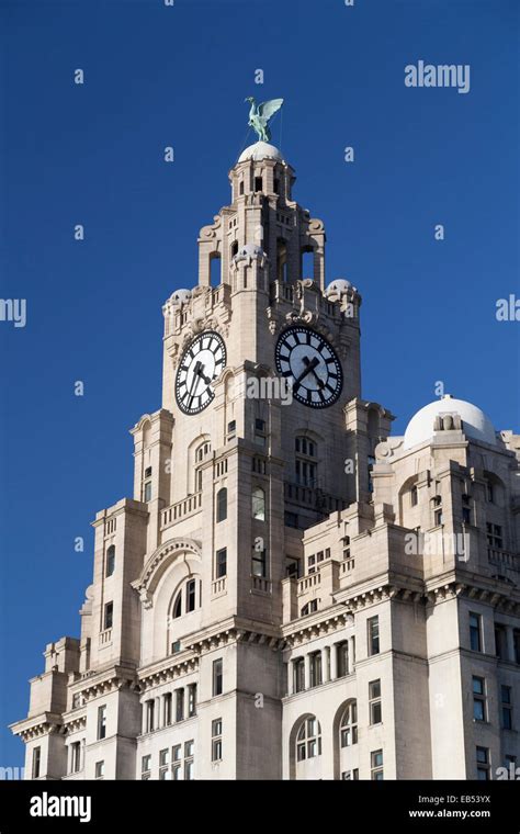 Uk Liverpool The Royal Liver Building Clock Tower Stock Photo Alamy