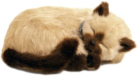 Perfect Petzzz The Original Breathing Pet Siamese Kitten New Huggable