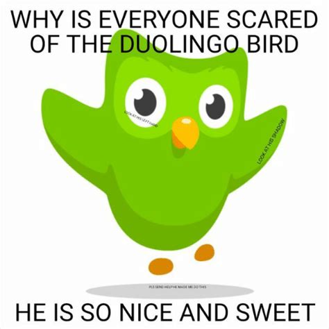#duolingo #duolingo bird #duolingo memes #gen z thoughts #gen z kids #gen z memes #gen z quotes #thoughts of a sleep deprived gen z #anxiety #memes #dank memes #millennials #funny. WHY IS EVERYONE SCARED OF THE DUOLINGO BIRD PLS SEND HELP HE MADE ME DO THIS HE IS SO NICE AND ...
