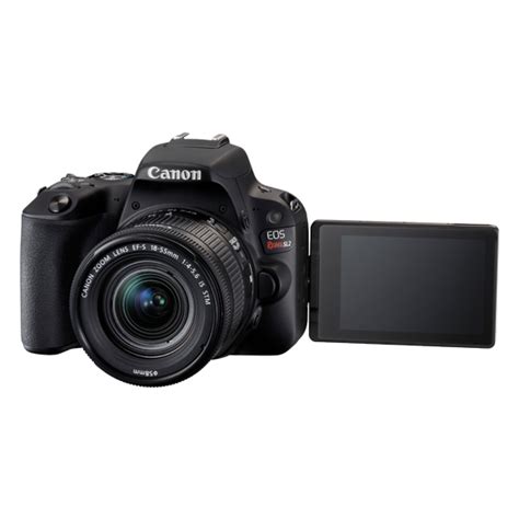 Canon Eos Rebel Sl2 Entry Level Dslr Camera