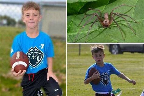 Criança de 10 anos morre após ser picada por aranha enquanto jogava futebol