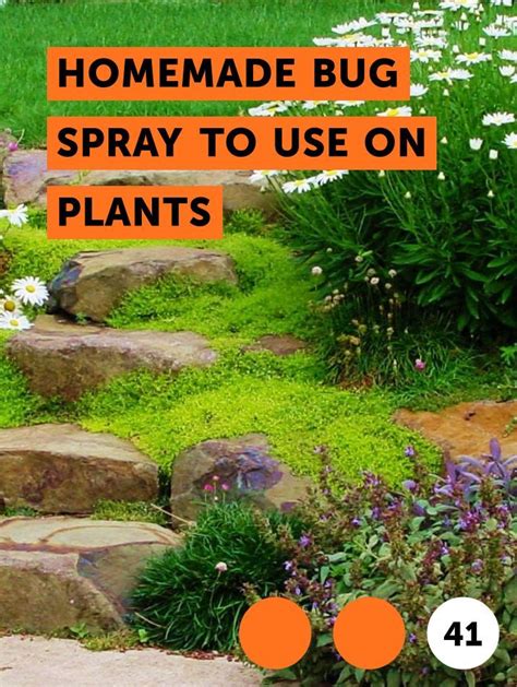 Maybe you would like to learn more about one of these? Homemade Bug Spray to Use On Plants | Plants, Fruit trees ...