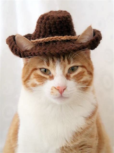 Cowboy Hat For Cats Cat Clothes Crochet Cat Toys Crochet Cat Hat