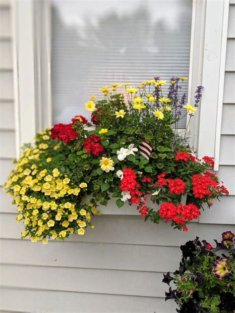 Window boxes add instant curb appeal, brightening up the exterior of your home with blooms and greenery. Idea by Diane Dann Sherwood on window boxes and container ...