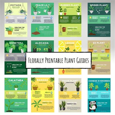 Printable Plant Care Guides House Plants Print Plant Poster Etsy Mint