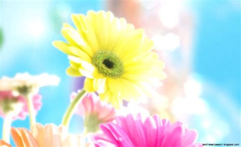 Animated Spring Flowers Screensavers Best Hd Wallpapers