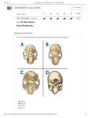 Observe evolution in a fictional population of bugs. Natural And Artificial Selection Gizmo Answer Key Pdf + My PDF Collection 2021