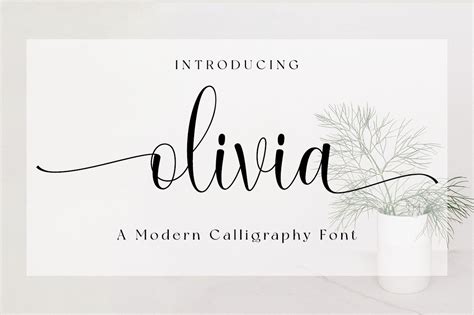 Olivia Font By Fanastudio · Creative Fabrica