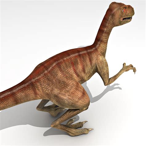 Velociraptor 3d Model Images