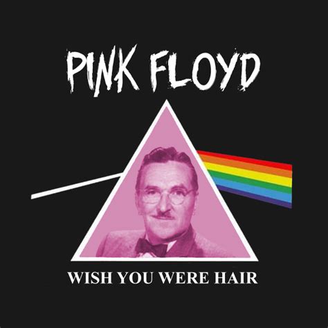 Pink Floyd The Barber Pink Floyd The Barber T Shirt Teepublic