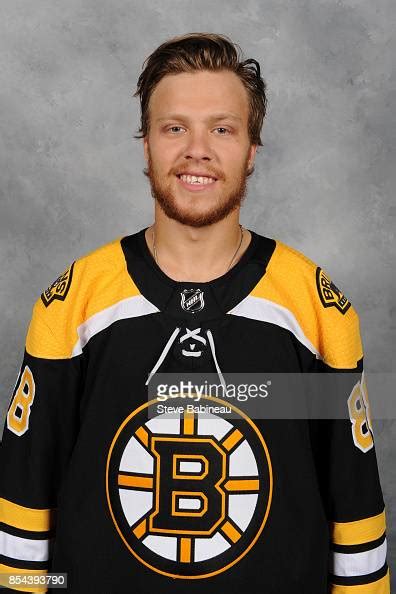 David Pastrnak Of The Boston Bruins Poses For His Official Headshot