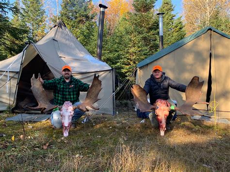 Guided Maine Moose Hunt Big Mountain Outfitters