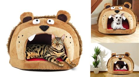 7 Funny Pet Beds To Buy Your Cat And Dog This Christmas