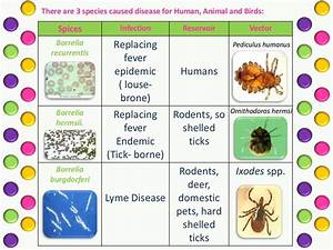 Taxonomy Of Bacteria