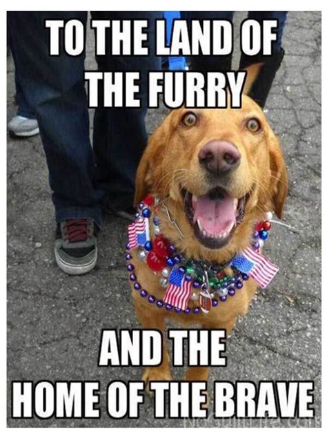 Happy & Funny 4th of July Memes That Every American Can Laugh