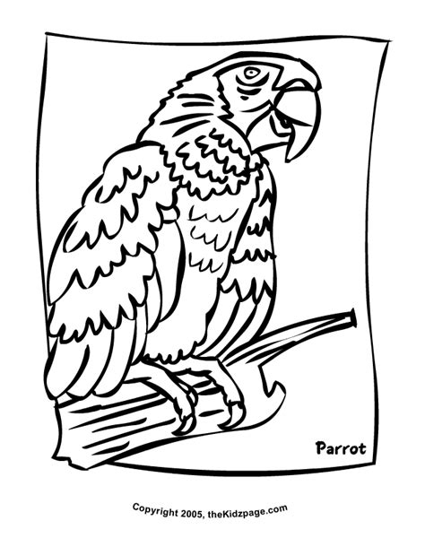 Parrot Free Coloring Page For Kids Colouring Sheets Coloring Home
