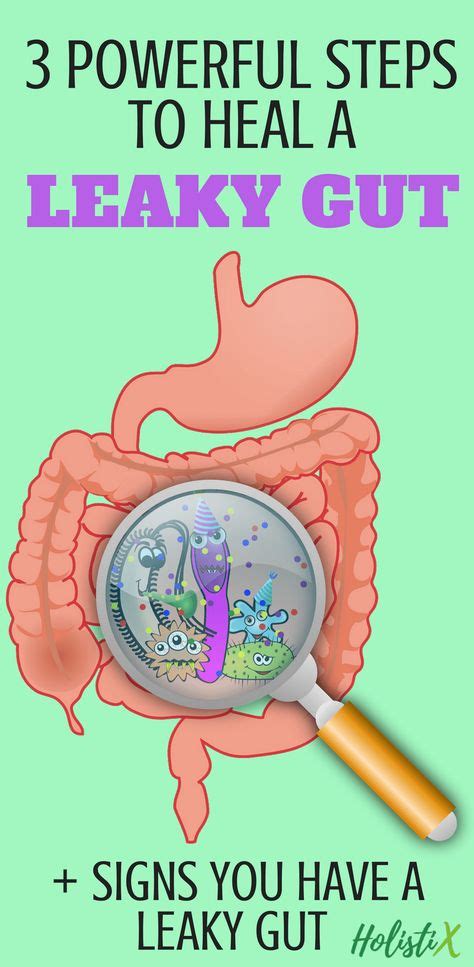 How To Heal Leaky Gut In 3 Powerful Steps Leaky Gut Health