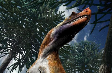 Meet Saltriovenator Oldest Known Big Predatory Dinosaur Discover