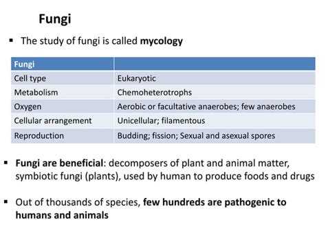 9 bio265 viruses fungi protozoa helminths instructor dr di bonaventura
