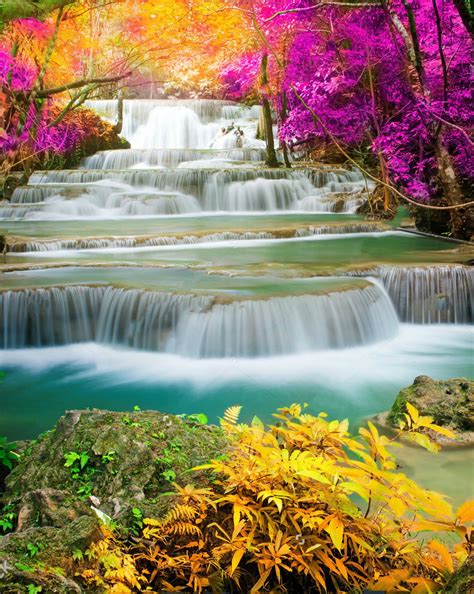 Amazing Waterfall In Colorful Forest 1195x1500 Beautiful Photos Of