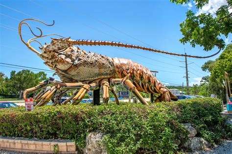 Worlds Largest Spiny Lobster Sculpture World Record In Islamorada