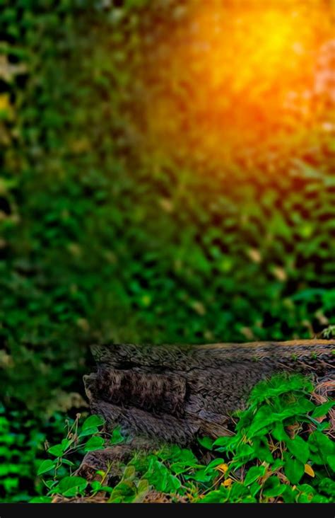 Beautiful Picsart Background Image Download Inselmane