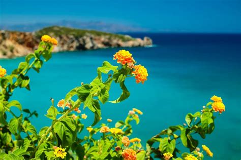 Istron Bay Beach In Lassithi Allincrete Travel Guide For Crete