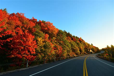 Autumn Road Turn Wallpaper Hd Nature 4k Wallpapers Images Photos