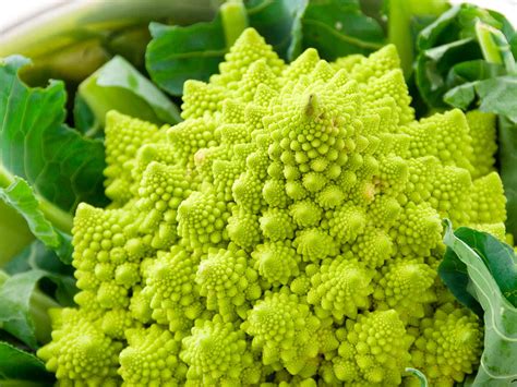 Coming from hawaii, i've had my fair share of exotic fruits that grow on the islands. Top 10 unusual vegetables | lovethegarden