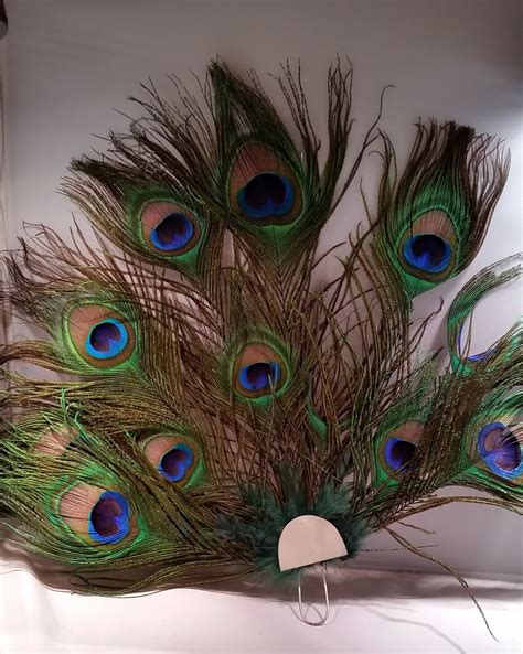 Basic Unadorned Peacock Feather Fan