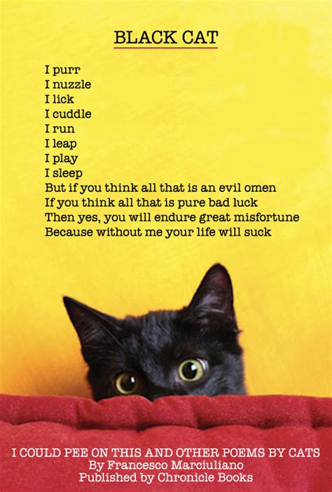 91 funny cat poetry
