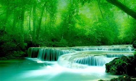 Wallpaper River Water Rocks Trees Greenery Free