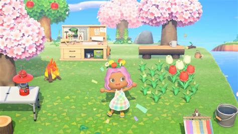 How To Get 5 Star Island Rating In Animal Crossing New Horizons
