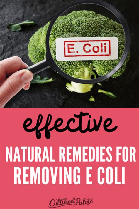 As long as you're able to keep food or liquids. Natural Remedies for E. Coli | Cultured Palate