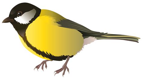 Bird Clipart Clipart Images Png Images Free Images Yellow Animals