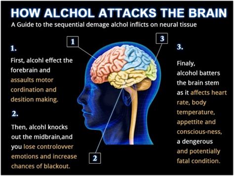 Alcohol Effects Intoxication And Alcoholism Health And Medical