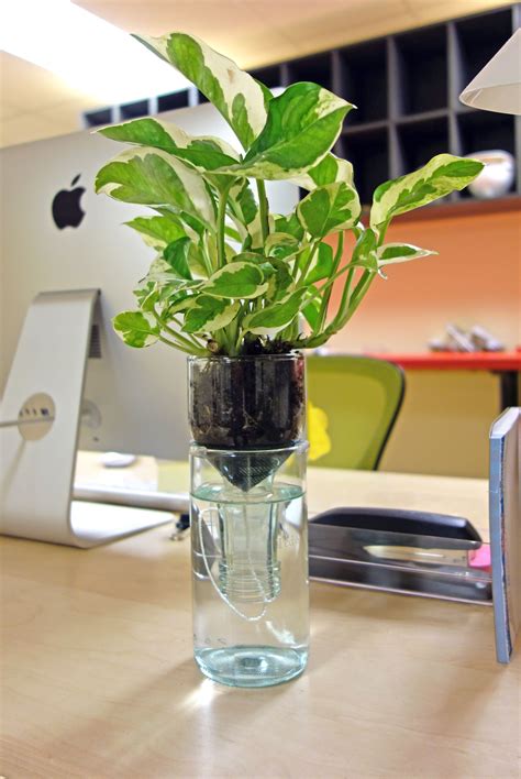 Dress Up Your Desk With A Self Watering Planter Made From A Recycled