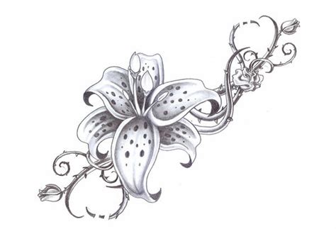Though there are lily flower tattoo designs available, having a tattoo on foot will be prettier. Tattoo Designs by Claire Henry