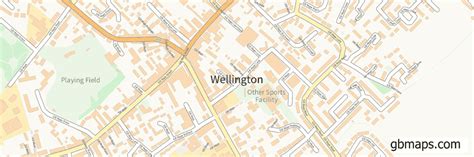 Wellington Vector Street Map