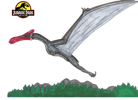 Image Jurassic Park Quetzalcoatlus By Hellraptor  Jurassic Park Wiki Fandom Powered By