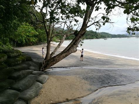 Black Sand Beach Langkawi Malaysia Top Tips Before You Go With