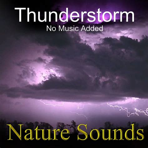 Jerry Lambert - Nature Sounds: Thunderstorm: Soothing Sounds CD No ...