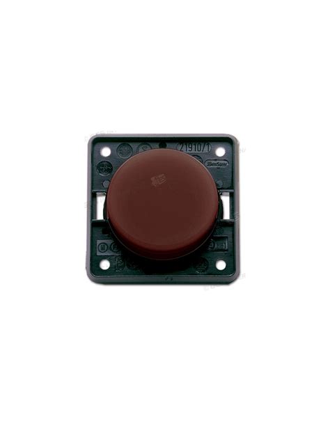 Brown Push Button Switch
